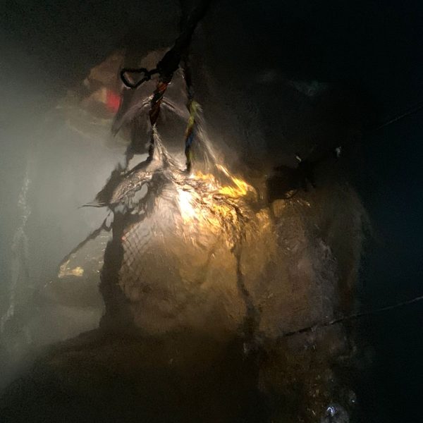 Pipeline clamp installation at 67 meters depth – Kalout Marine Engineering
